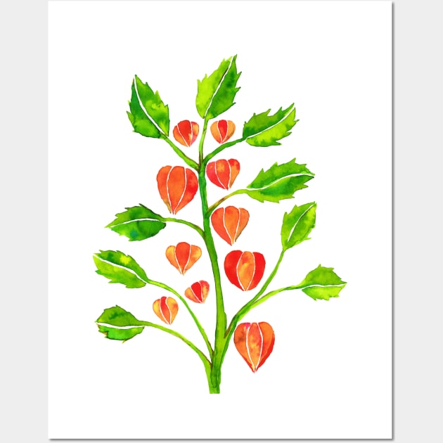 Physalis. Wall Art by Bwiselizzy